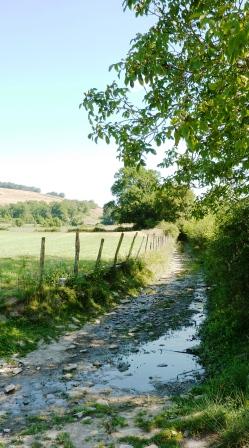 Le chemin à son arrivée à Ostabat