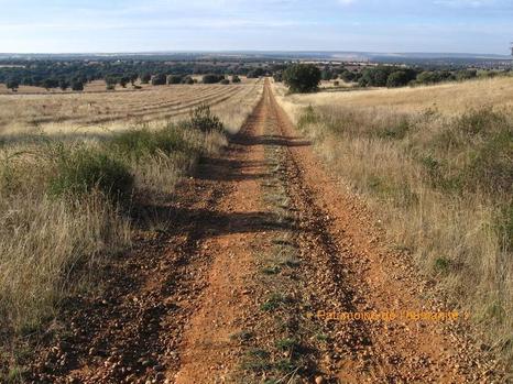 Sur la Via de la Plata, entre Compostelle et Cordoue Sur la Via de la Plata, entre Compostelle et Cordoue