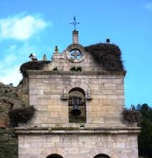 Le pignon de l'église Santa-Maria et ses cigognes