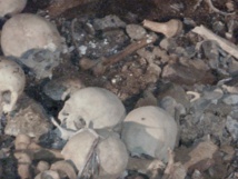 Charlemagne sur le camino francés, étape n° 49 Charlemagne sur le camino francés, étape n° 49