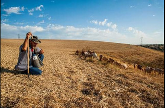 un berger à Calzada del Coto