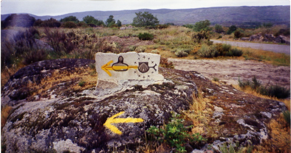 Sur la via de la Plata (cl. don Pedro) Sur la via de la Plata (cl. don Pedro)