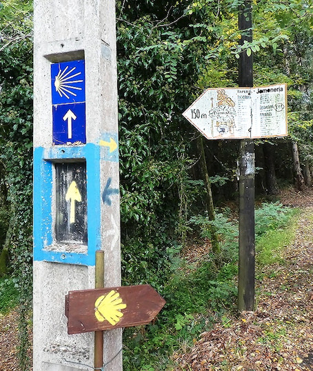 Vers quoi dirigent ces flèches ? Vers quoi dirigent ces flèches ?