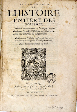 Couverture du livre conseillé par Dimitri Rogoff Couverture du livre conseillé par Dimitri Rogoff