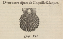 Le mariage de saint Jacques et de la coquille              lettre n° 122              Le mariage de saint Jacques et de la coquille              lettre n° 122