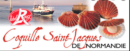              Le mariage de saint Jacques et de la coquille              lettre n° 122