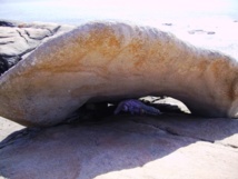Passer sous la " pedra dos cadris " guérit les maux de reins