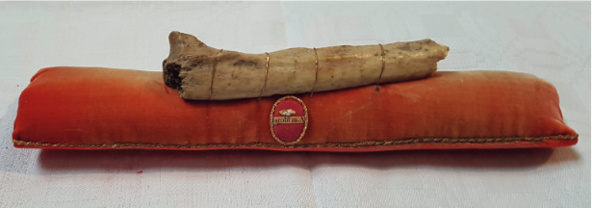 Le cubitus du XIXe Le cubitus du XIXe