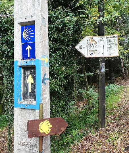 Vers quoi dirigent ces flèches ? Vers quoi dirigent ces flèches ?