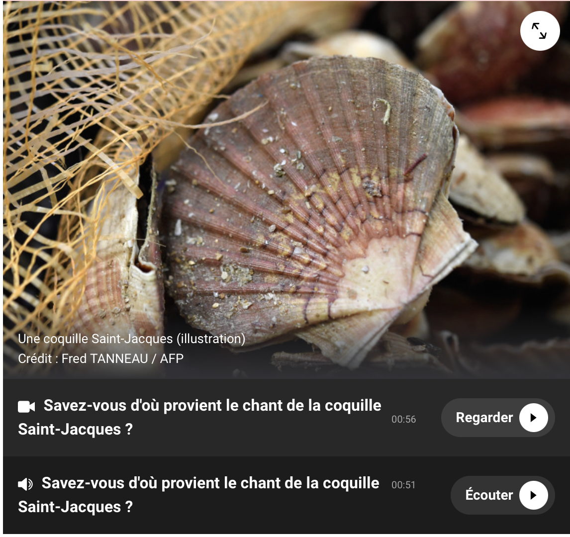 Comprendre et écouter le chant de la coquille