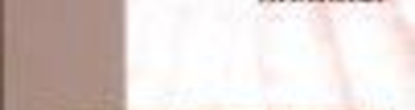 « Ypassaientparlà », mieux comprendre le patrimoine mondial