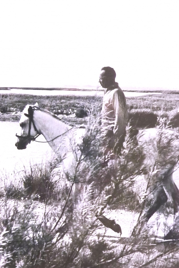 Henri en Camargue Henri en Camargue