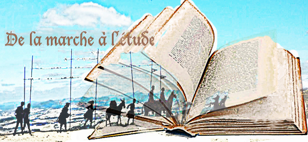 Bonne-annee-2026_a781.html